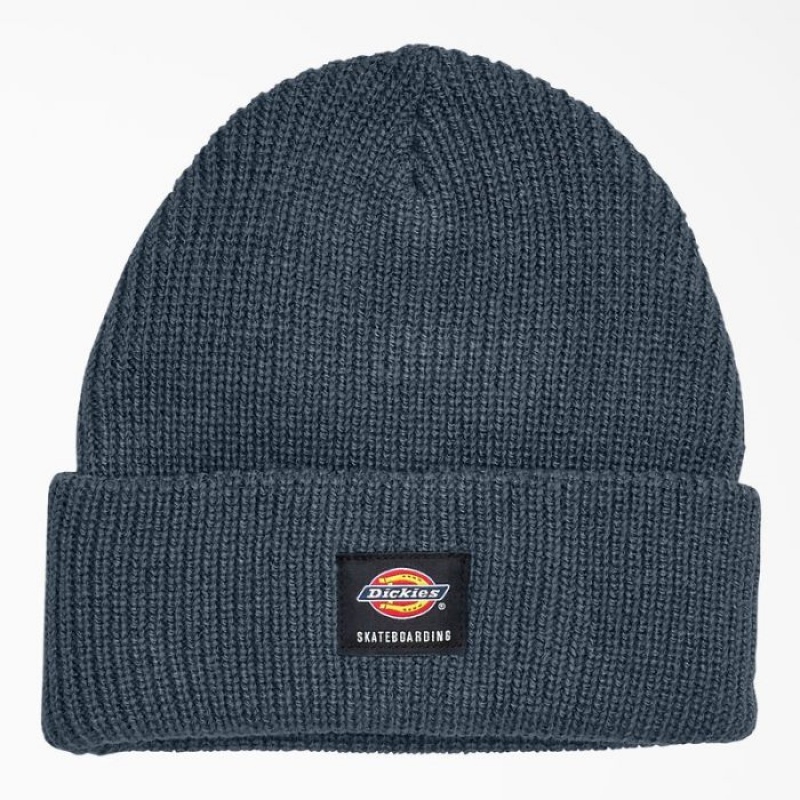 Dickies Dickies Skateboarding Cuffed Beanie Albastri | AHEK8342