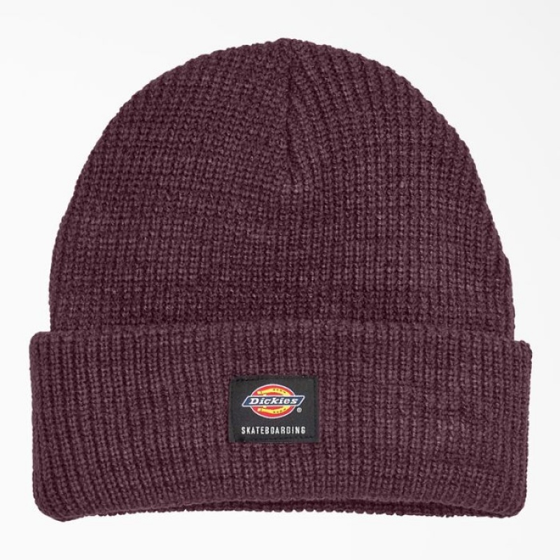 Dickies Dickies Skateboarding Cuffed Beanie Visinii | RDAO7625