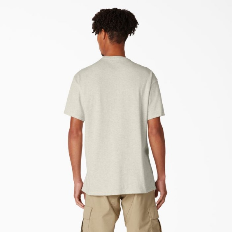 Dickies Dickies Skateboarding Distressed OG Grafice T-Shirt Bej | VMEY9276
