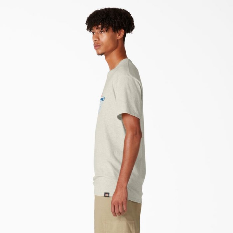 Dickies Dickies Skateboarding Distressed OG Grafice T-Shirt Bej | VMEY9276