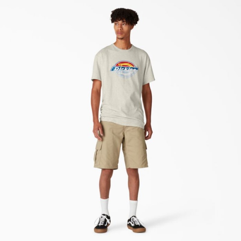 Dickies Dickies Skateboarding Distressed OG Grafice T-Shirt Bej | VMEY9276