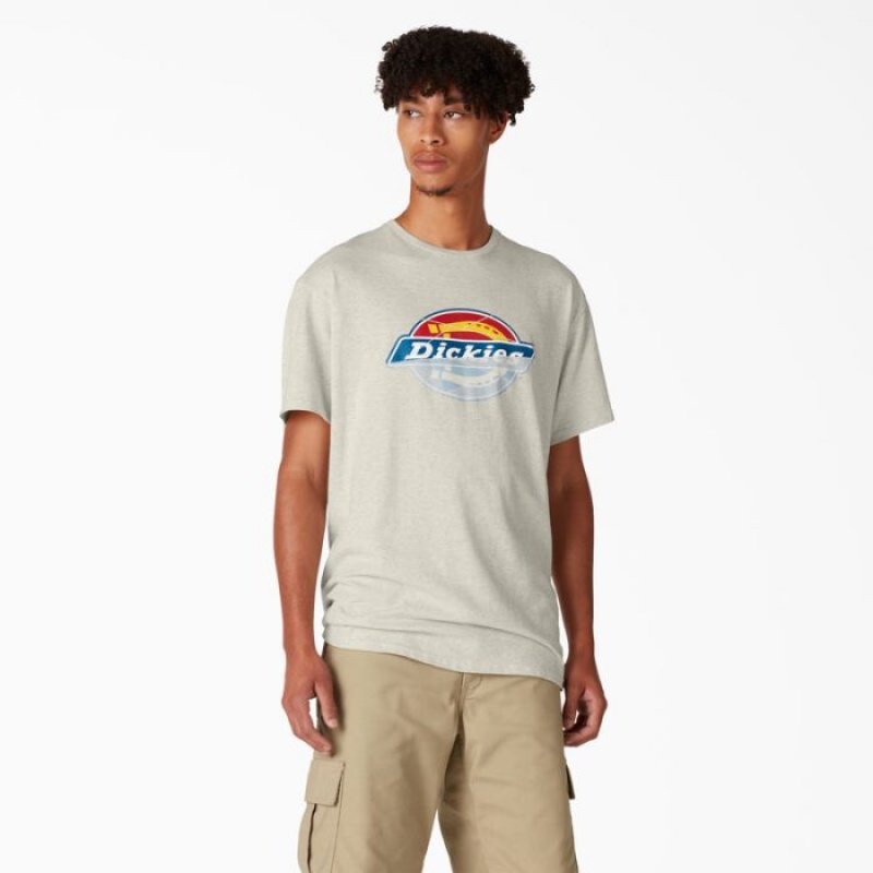 Dickies Dickies Skateboarding Distressed OG Grafice T-Shirt Bej | VMEY9276