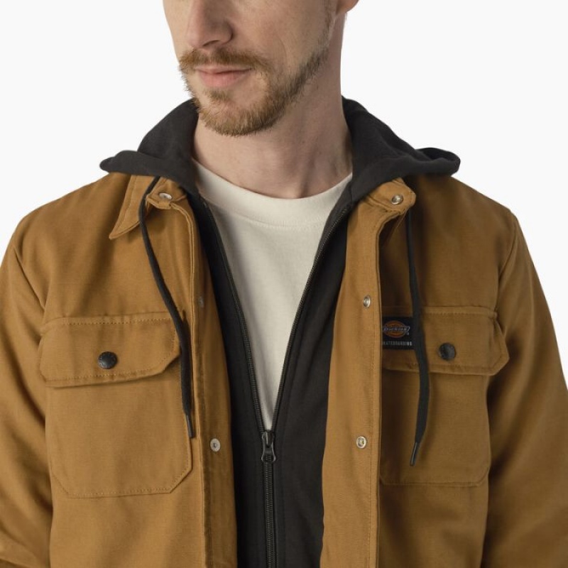 Dickies Dickies Skateboarding Duck Shirt Jacket Maro | ZUKH5745