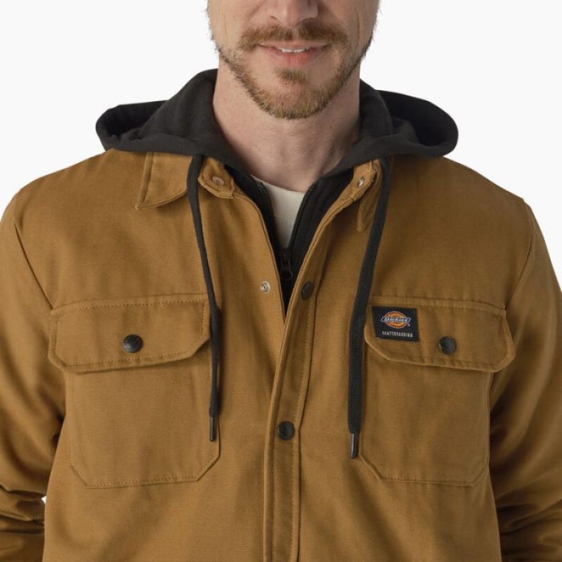 Dickies Dickies Skateboarding Duck Shirt Jacket Maro | ZUKH5745
