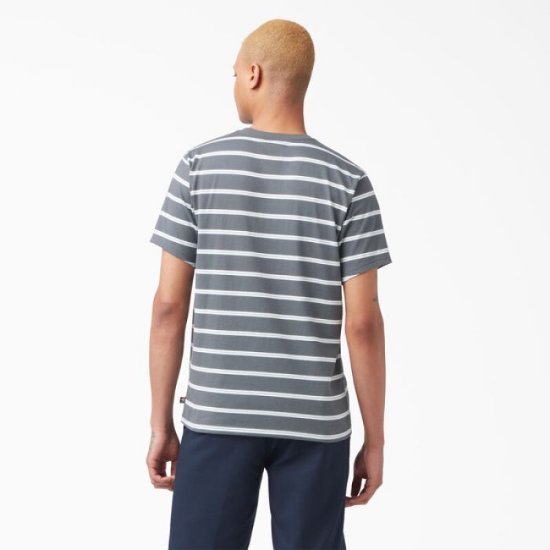 Dickies Dickies Skateboarding In Dungi T-Shirt Gri | CEWI0047