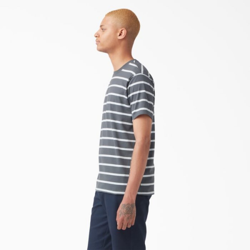 Dickies Dickies Skateboarding In Dungi T-Shirt Gri | CEWI0047