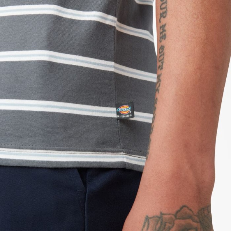 Dickies Dickies Skateboarding In Dungi T-Shirt Gri | CEWI0047