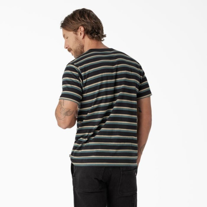 Dickies Dickies Skateboarding In Dungi T-Shirt Negrii Verzi | HKZS7044