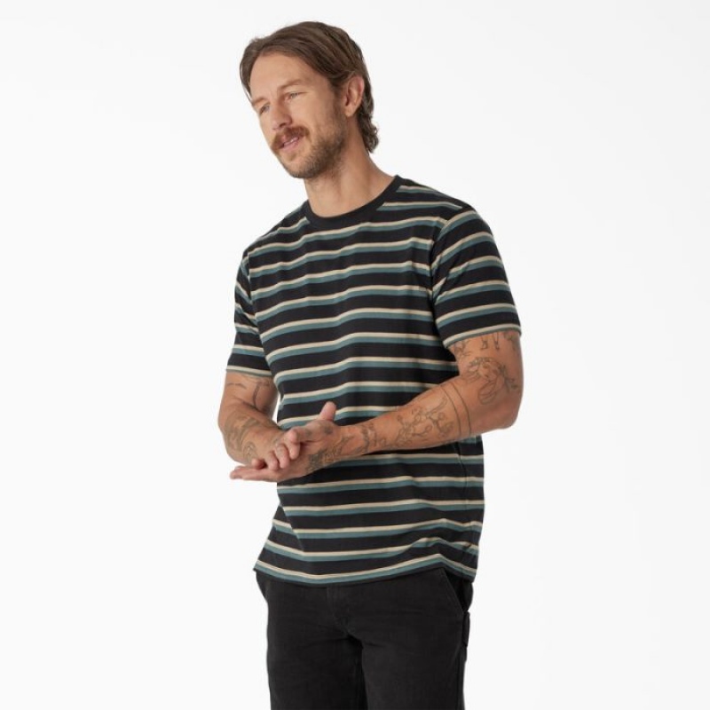 Dickies Dickies Skateboarding In Dungi T-Shirt Negrii Verzi | HKZS7044