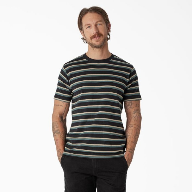 Dickies Dickies Skateboarding In Dungi T-Shirt Negrii Verzi | HKZS7044