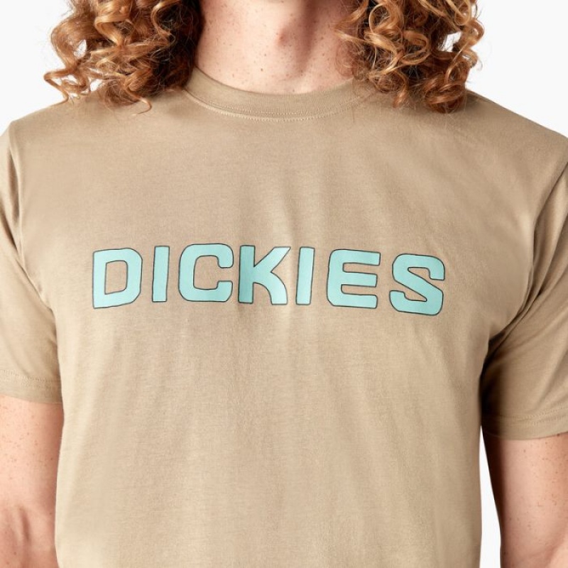 Dickies Dickies Skateboarding Logo T-Shirt Maro | TXLU5626