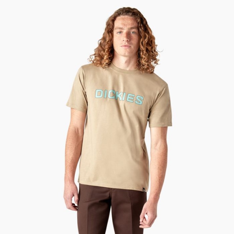 Dickies Dickies Skateboarding Logo T-Shirt Maro | TXLU5626
