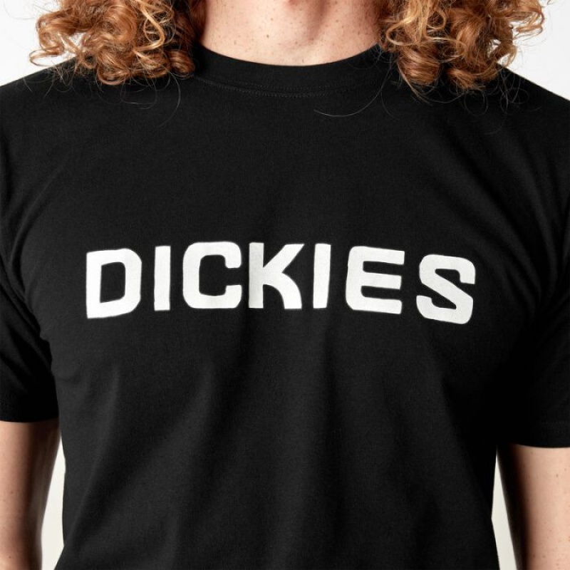 Dickies Dickies Skateboarding Logo T-Shirt Negrii | MZZL3445
