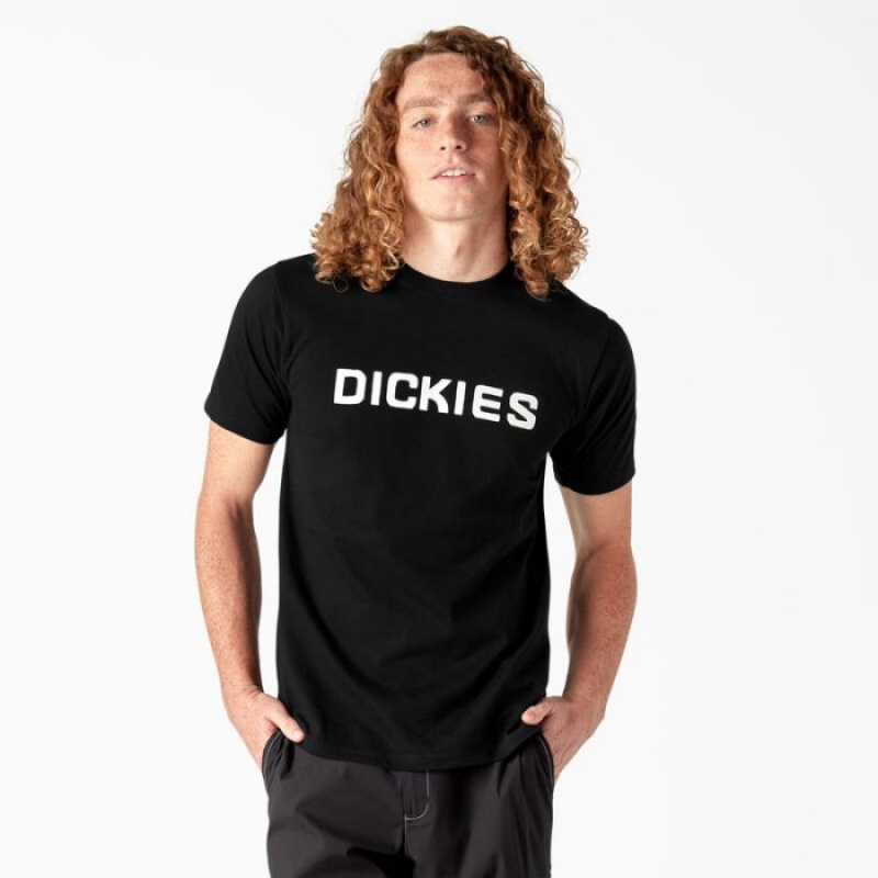 Dickies Dickies Skateboarding Logo T-Shirt Negrii | MZZL3445