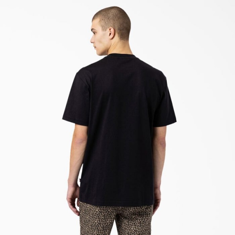 Dickies Dickies Skateboarding Mount Vista T-Shirt Negrii | SRWZ2038