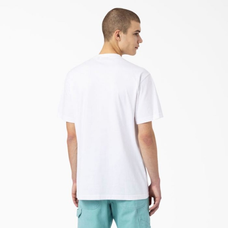 Dickies Dickies Skateboarding Mount Vista T-Shirt Albi | FTYJ8786