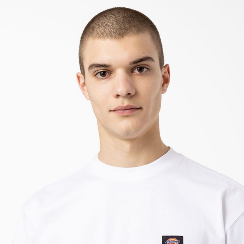 Dickies Dickies Skateboarding Mount Vista T-Shirt Albi | FTYJ8786