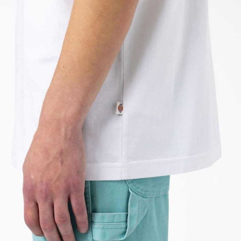 Dickies Dickies Skateboarding Mount Vista T-Shirt Albi | FTYJ8786