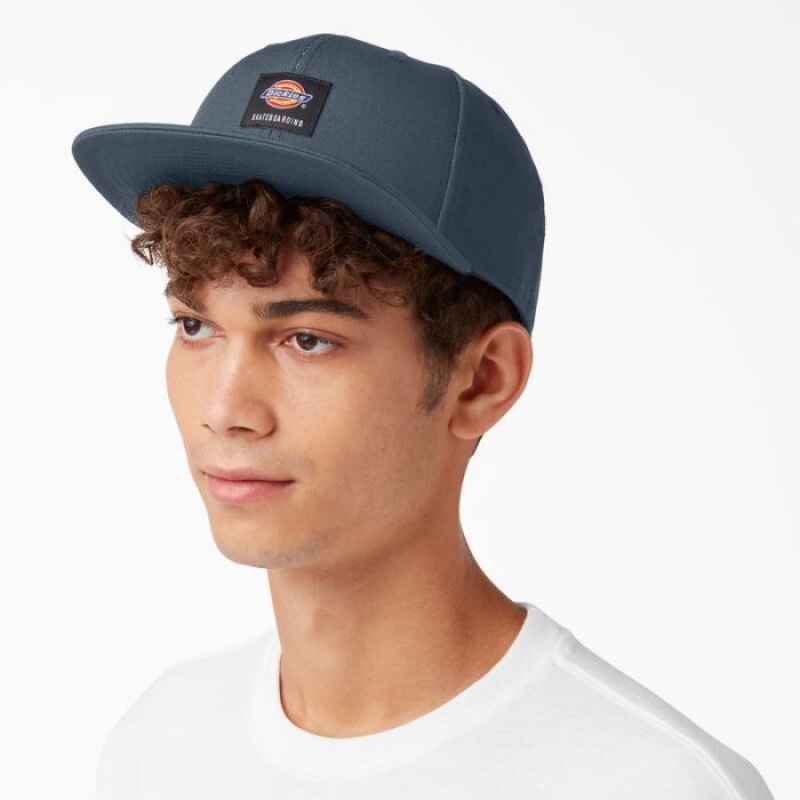 Dickies Dickies Skateboarding Plati Bill Cap Albastri | ZWSU0466