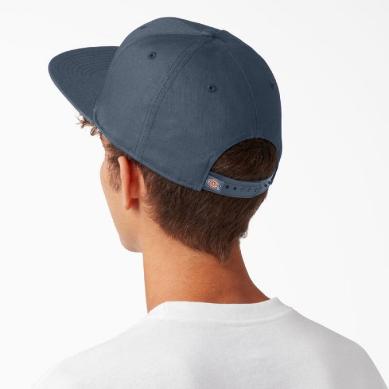 Dickies Dickies Skateboarding Plati Bill Cap Albastri | ZWSU0466