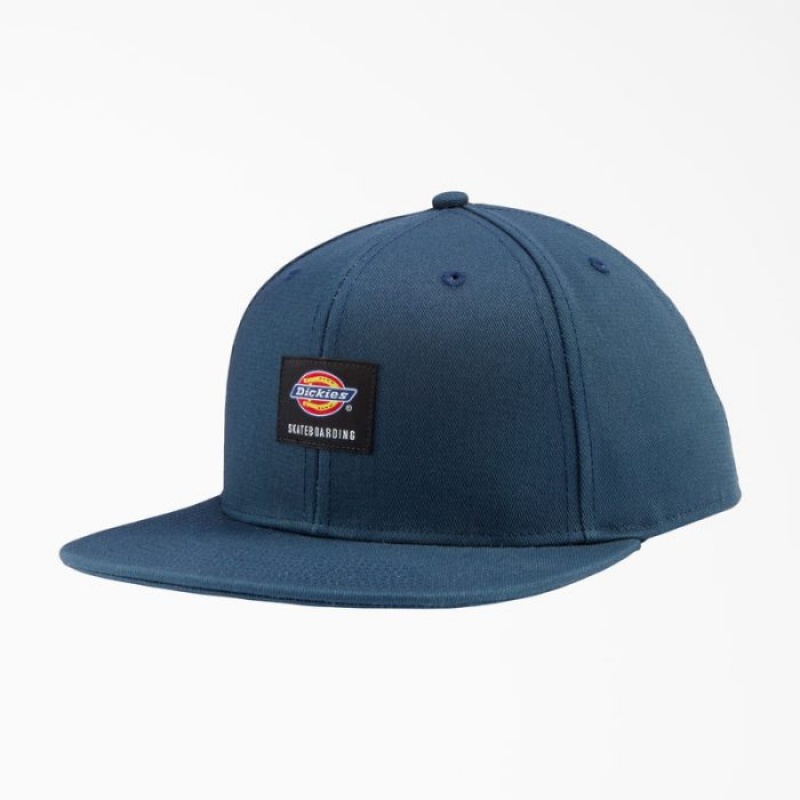 Dickies Dickies Skateboarding Plati Bill Cap Albastri | ZWSU0466