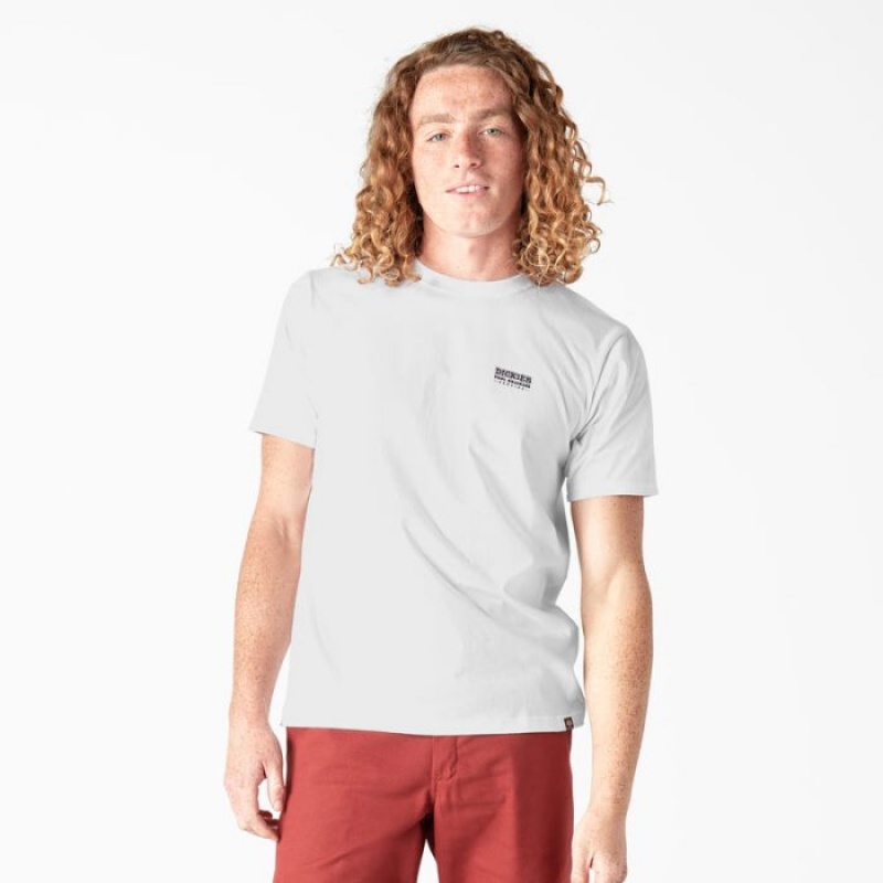 Dickies Dickies Skateboarding Pool Drainage Grafice T-Shirt Albi | XHJP9486