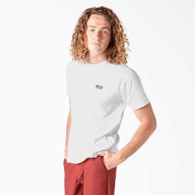 Dickies Dickies Skateboarding Pool Drainage Grafice T-Shirt Albi | XHJP9486