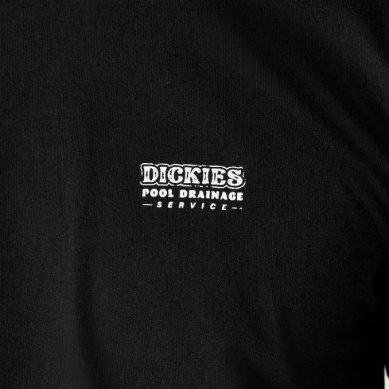 Dickies Dickies Skateboarding Pool Drainage Grafice T-Shirt Negrii | EEXA2910