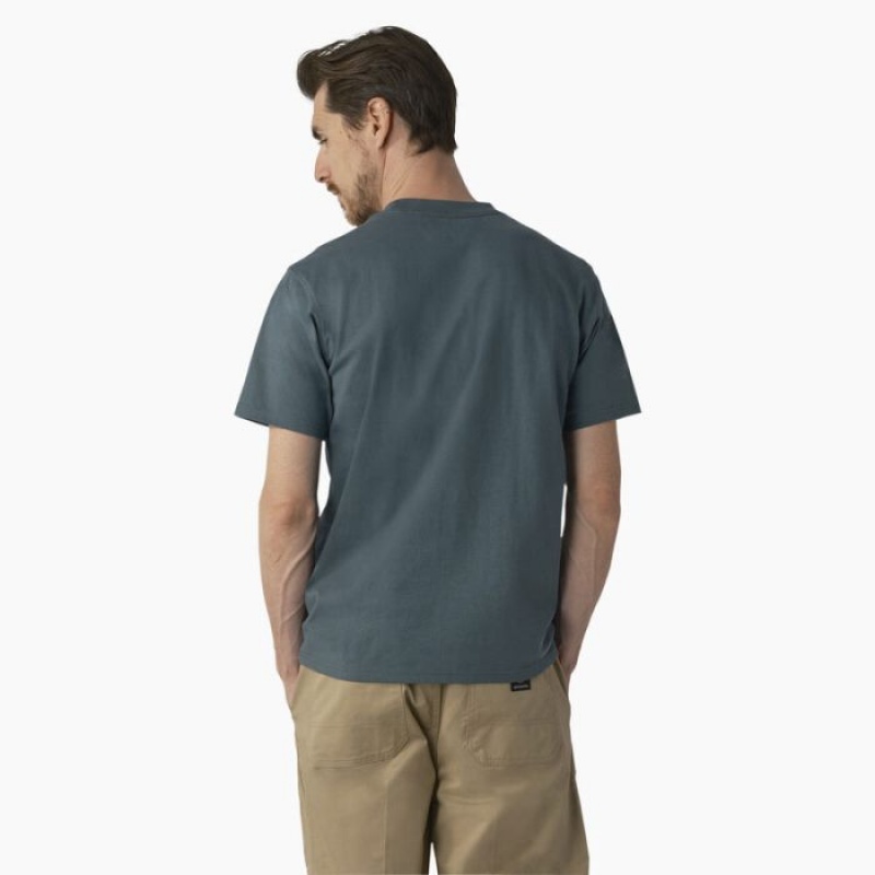 Dickies Dickies Skateboarding Regular Fit Chest Logo T-Shirt Verzi | PRLO9392