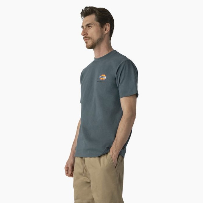 Dickies Dickies Skateboarding Regular Fit Chest Logo T-Shirt Verzi | PRLO9392