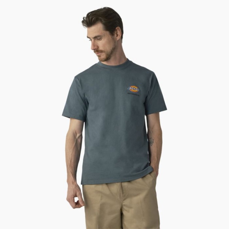 Dickies Dickies Skateboarding Regular Fit Chest Logo T-Shirt Verzi | PRLO9392