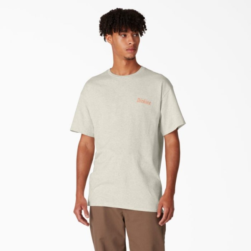 Dickies Dickies Skateboarding Split Grafice T-Shirt Bej | HTEC5812
