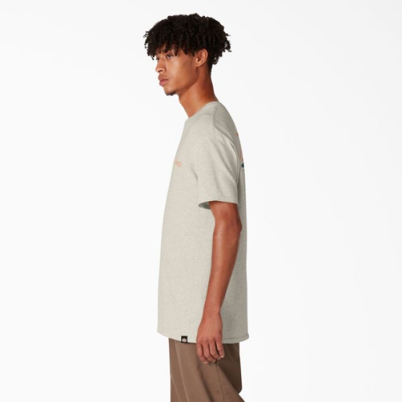 Dickies Dickies Skateboarding Split Grafice T-Shirt Bej | HTEC5812