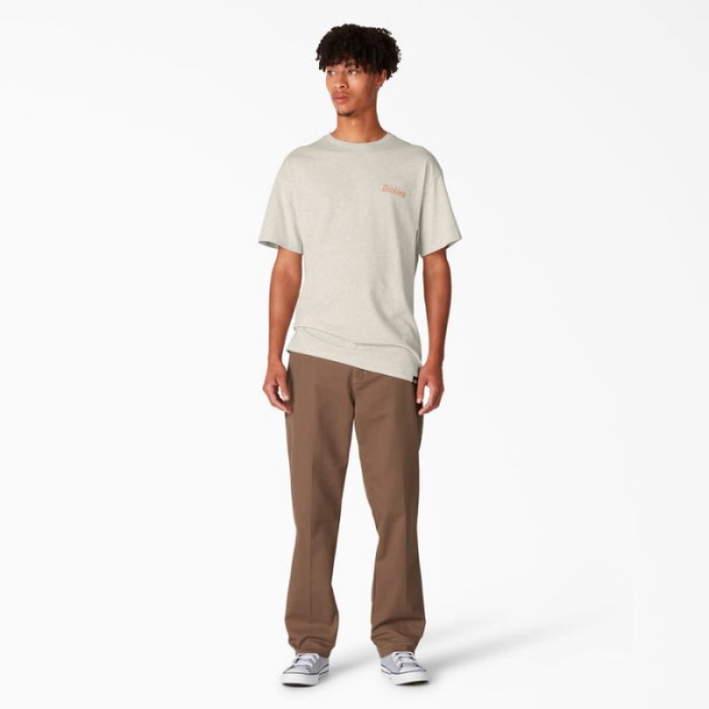 Dickies Dickies Skateboarding Split Grafice T-Shirt Bej | HTEC5812