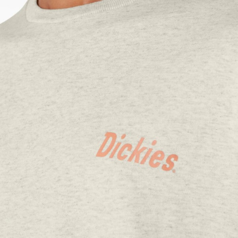 Dickies Dickies Skateboarding Split Grafice T-Shirt Bej | HTEC5812