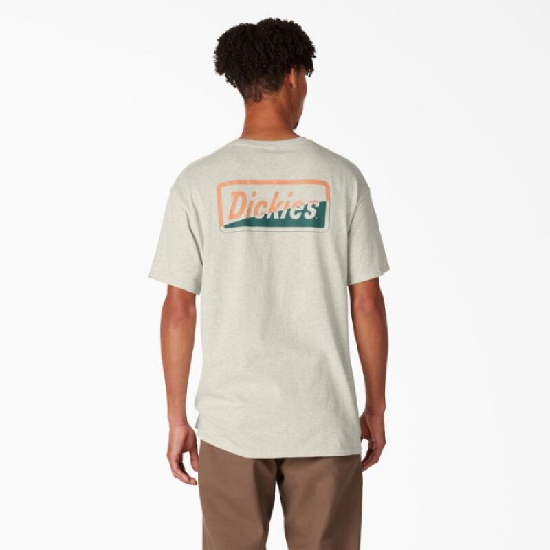 Dickies Dickies Skateboarding Split Grafice T-Shirt Bej | HTEC5812