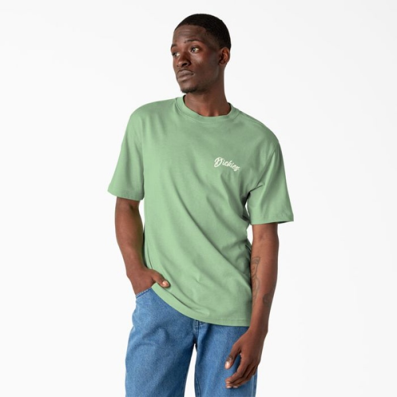 Dickies Dighton Grafice T-Shirt Verzi | PPFN3356
