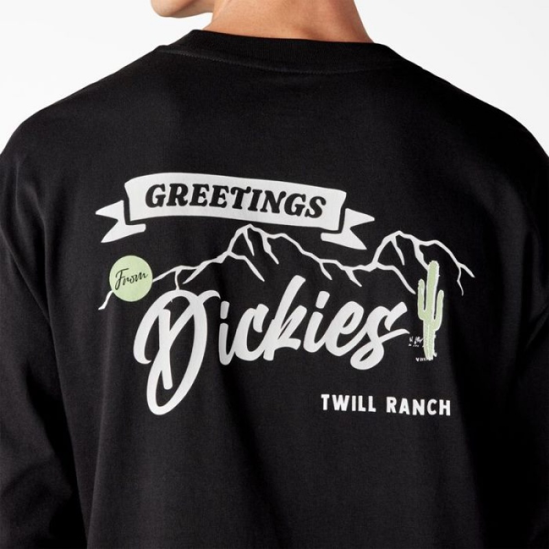 Dickies Dighton Long Sleeve Grafice T-Shirt Negrii | JBYX1547