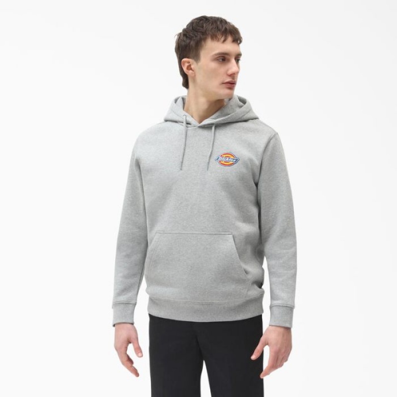 Dickies Fleece Embroidered Chest Logo Hoodie Regular | RHZH6645