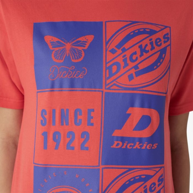 Dickies Grafice Band T-Shirt Bittersweet | LYOW5670