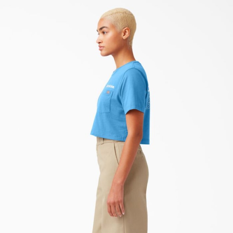 Dickies Grafice Cropped T-Shirt Albastri Inchis | ZQAM0083