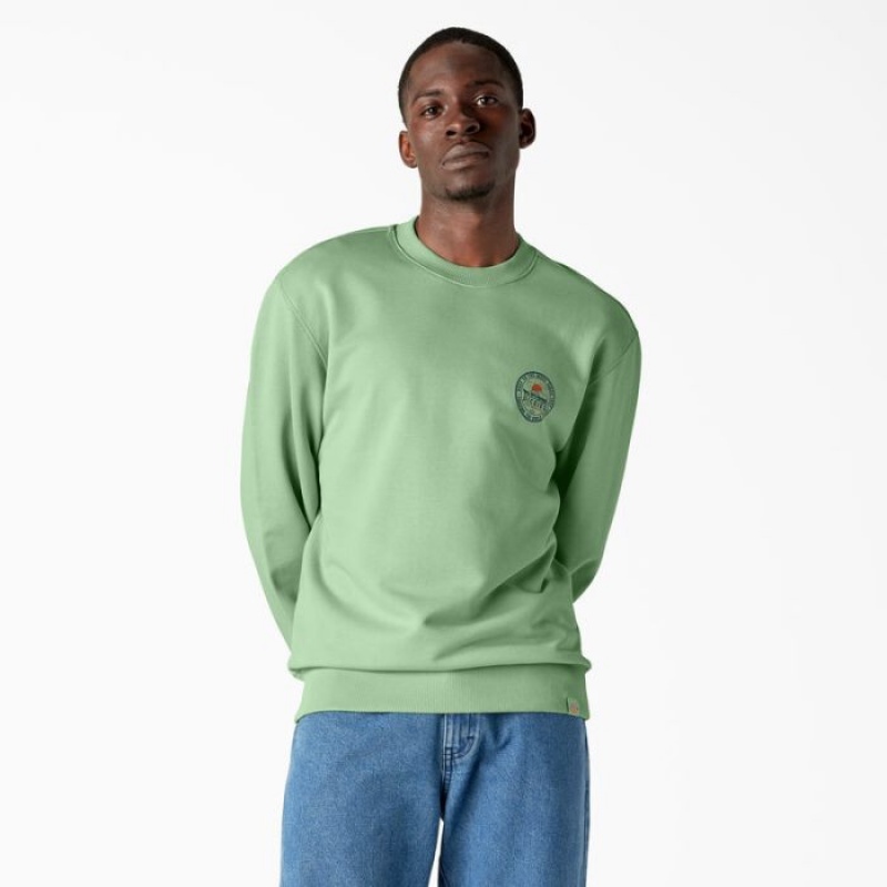 Dickies Greensburg Grafice Sweatshirt Verzi | ETNJ6324