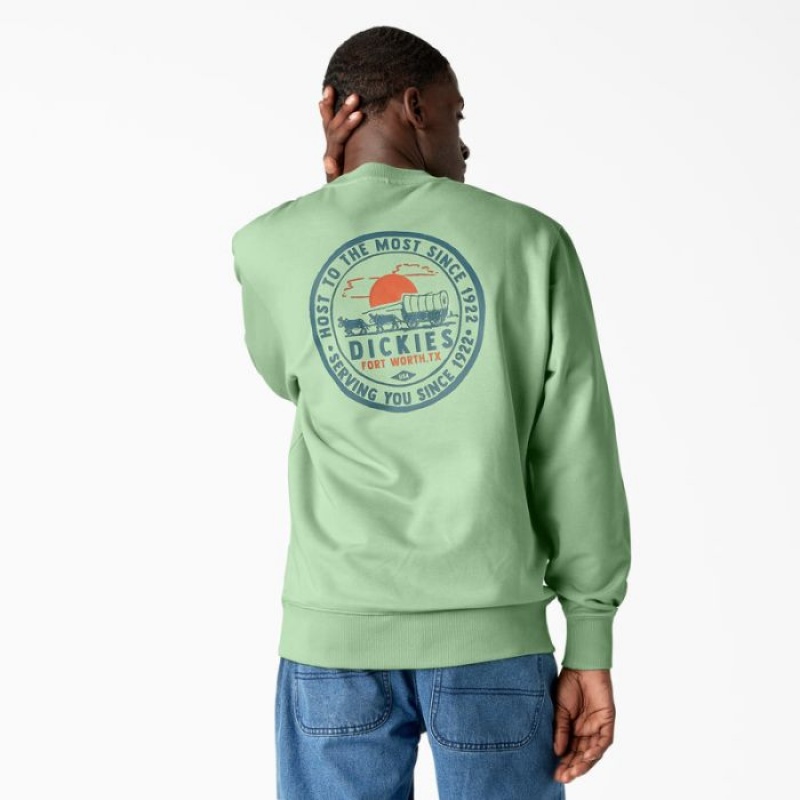 Dickies Greensburg Grafice Sweatshirt Verzi | ETNJ6324
