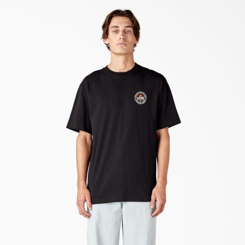 Dickies Greensburg Grafice T-Shirt Negrii | DFPJ3004