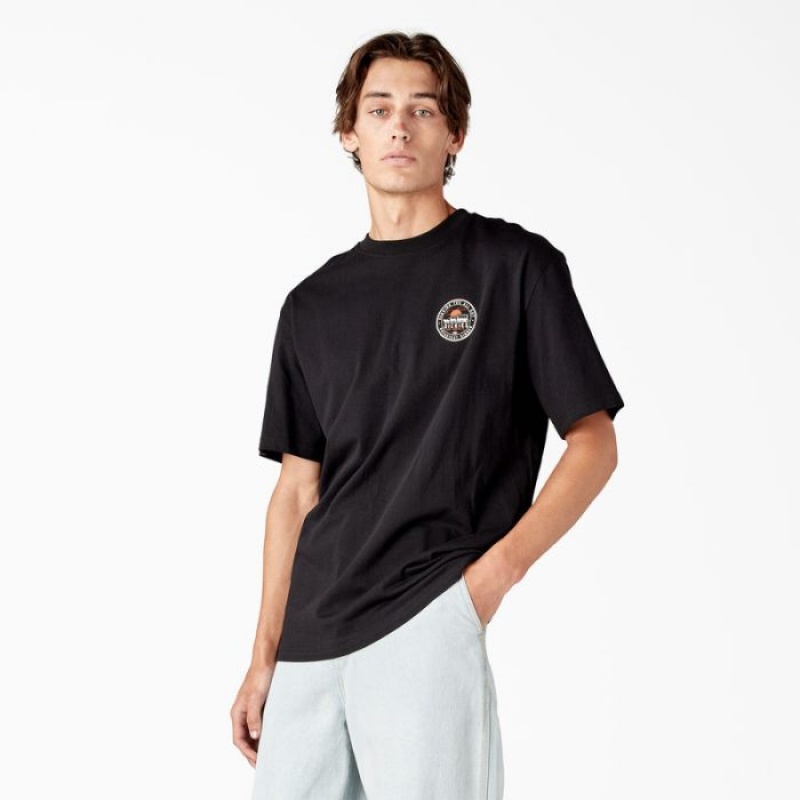 Dickies Greensburg Grafice T-Shirt Negrii | DFPJ3004