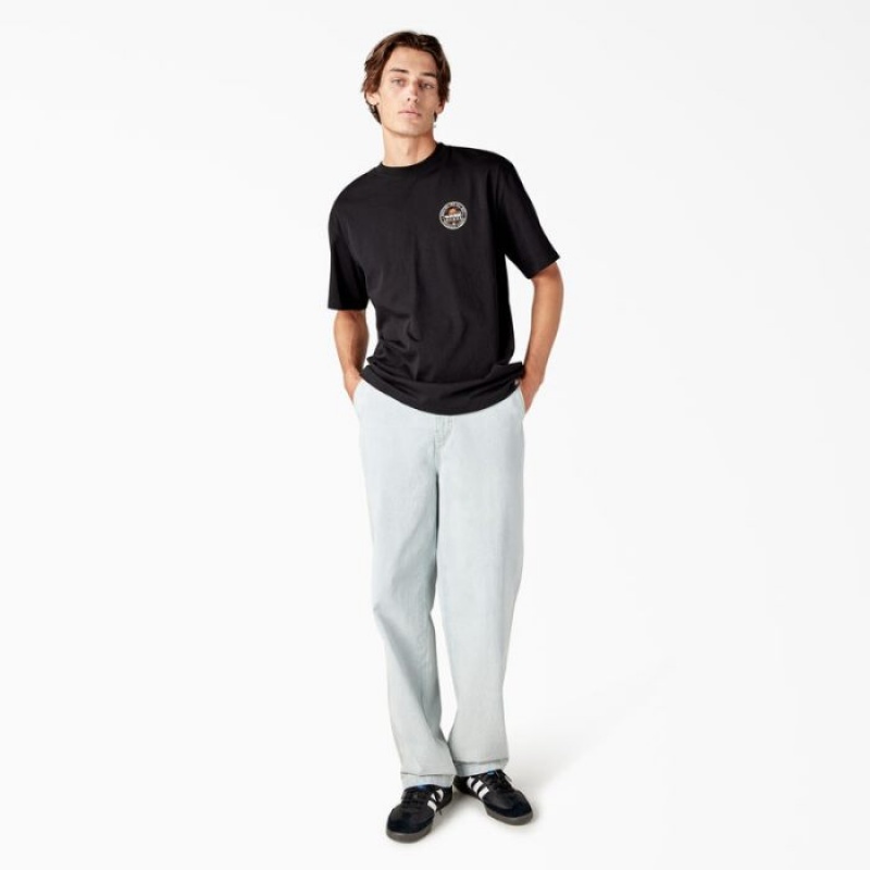 Dickies Greensburg Grafice T-Shirt Negrii | DFPJ3004