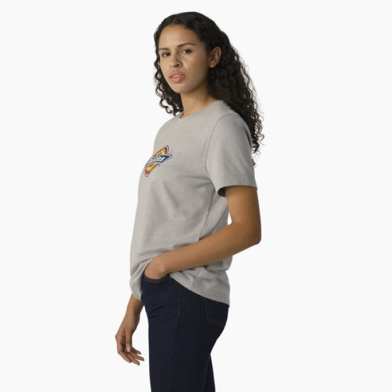Dickies Heavyweight Logo T-Shirt Gri | QTOA2665