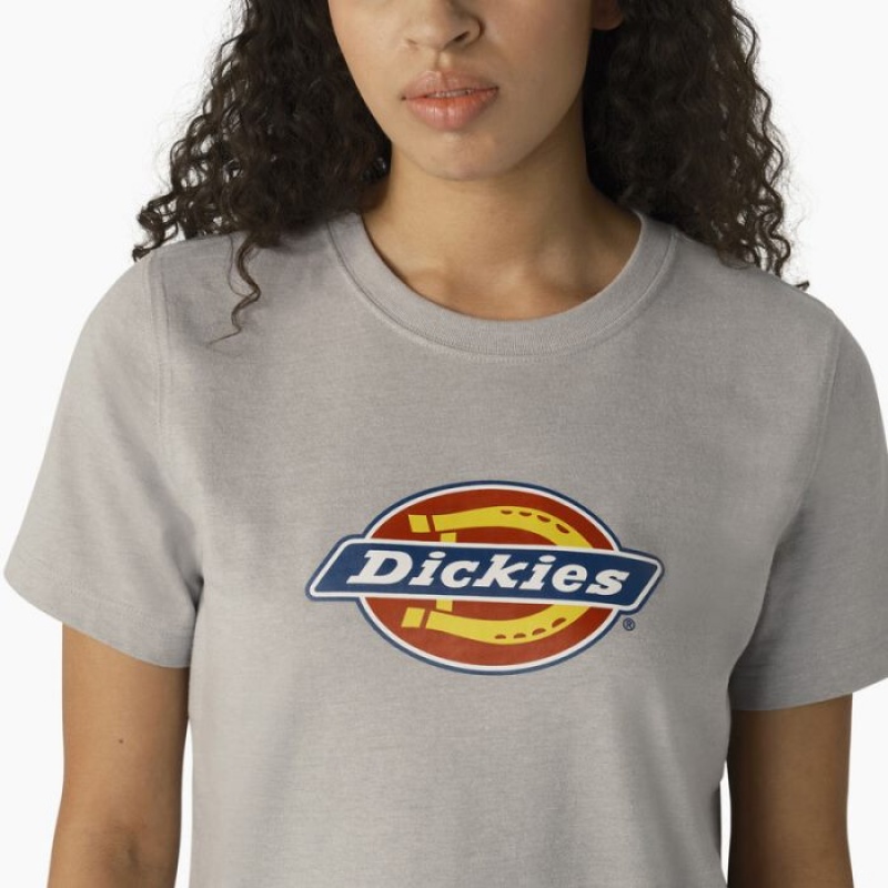 Dickies Heavyweight Logo T-Shirt Gri | QTOA2665