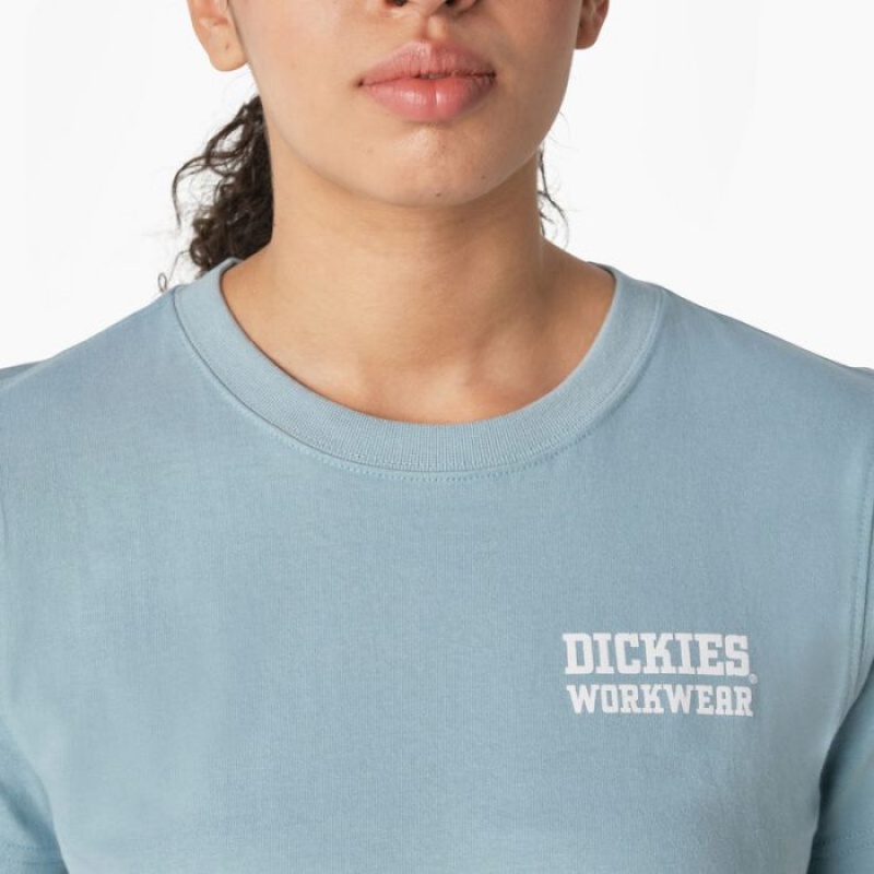 Dickies Heavyweight Workwear Grafice T-Shirt Albastri | OXYK9153