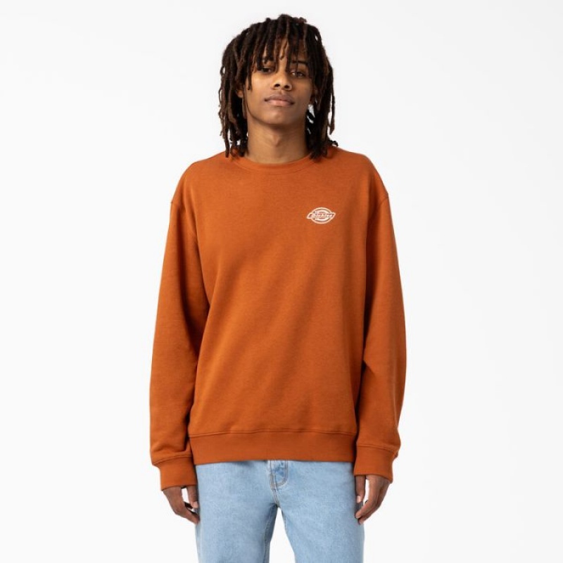 Dickies Holtville Sweatshirt Regular | AWXU9667